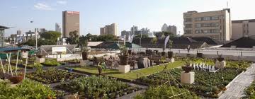 World Economic Forum: Urban Innovations